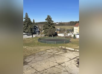 Travail et dressage – fiable, polyvalent et personnalisé