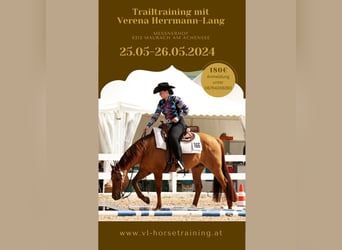 2-Tages Trailtraining mit Verena Herrmann-Lang