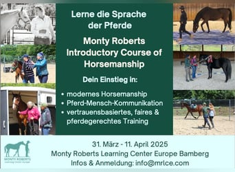 Lerne die Sprache der Pferde: Monty Roberts Introductory Course of Horsemanship