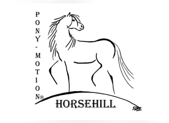 Reitpädagogik-Ausbildung Pony-Motion®️