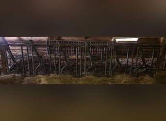 Selbstfangfressgitter von Patura 