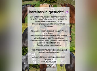 Cherche entraîneur (h/f/d) à plein temps !