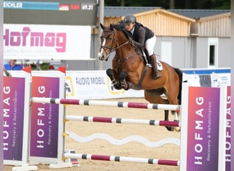 Espace de formation / Dressage