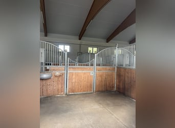 Aide au manège / Temps partiel / Temps plein à 83607 Holzkirchen