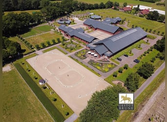 Cherche groom (h/f/d) pour chevaux