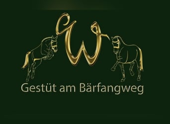 Hufschmied Hufbeschlagschmied m/w/d