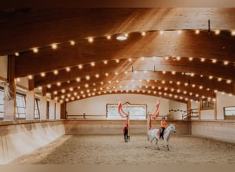 Entraîneur et/ou moniteur d'équitation (h/f/d)