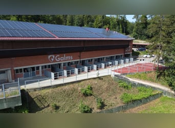 Professeur d’équitation ou préparateur/trice 50-100 %