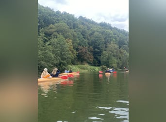 Recherche d’un responsable du centre équestre à l’hôtel Reiterhof Altmühlsee