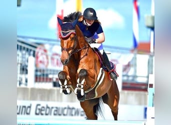 Stallarbeiter (m/w/d)