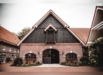 Pferdepfleger/in (m/w/d) für den Eulenhof