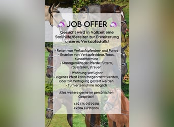 Bereiter in Verkaufsstall gesucht 