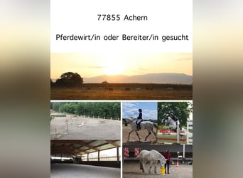 *** Motivierte, engagierte Reiter/in, Praktikant/in gesucht ***