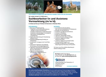 Sachbearbeiter/in und Assistenz Vermarktung