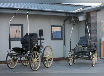 Poste à pourvoir : un emploi de rêve dans un pensionnat privé pour chevaux !