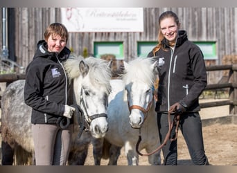 Zuwachs für unser Team gesucht: Pferdewirt*in Klassische Reitausbildung (m/w/d)