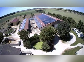 Stallhelfer, Stallkraft Stallmitarbeiter nach 50374 gesucht