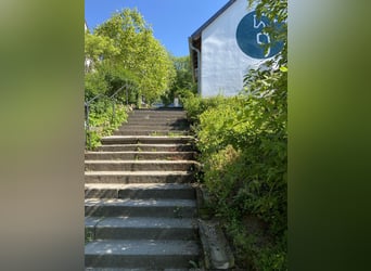 Stallhilfe gesucht 