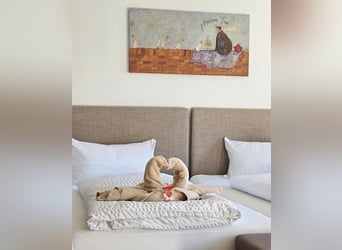 Urlaub mit Deinem eigenen Pferd