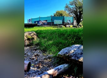 Urlaub mit Deinem eigenen Pferd