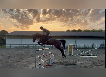 Vacances à cheval en Belle Italie🐴🇮🇹