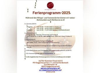 Reiterferien/Reitkurse 2025