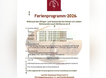 Séjours équestres / Cours d'équitation dans la vallée de l'Amour (Lac de Constance)