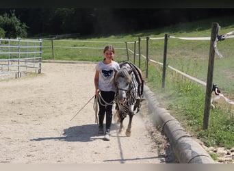 Séjours équestres : plus que simplement monter à cheval