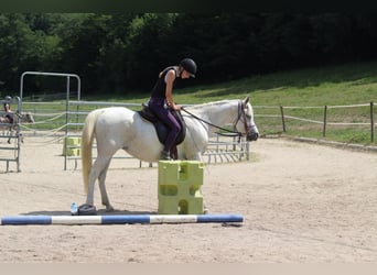 Séjours équestres : plus que simplement monter à cheval