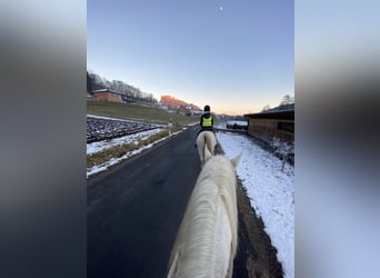 Séjours équestres : plus que simplement monter à cheval