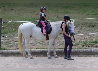 Séjours équestres : plus que simplement monter à cheval