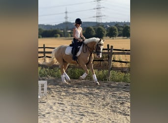 Vacances au centre équestre - Équitation