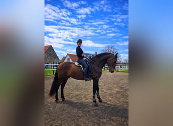 Escapade en famille au cœur d’un haras – nature, chevaux & bien-être