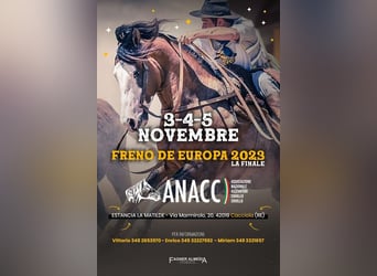 Event dedicated to the criollo horse