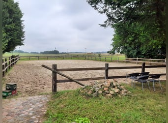 Ferien mit eigenem Pferd ,Hund und Familie