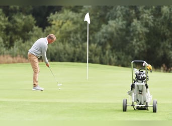 Fleesensee - Reiturlaub mit eigenem Pferd /Robinson Club/ Beech Resort / Mecklenburg-Vorpommern  