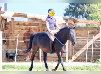 Reiterferien für Mädchen ab 10. Unsere Termine für 2026 sind online, wir freuen uns auf euch. 