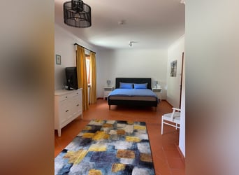 Reiterurlaub exklusiv auf unserem Lusitanogestüt 