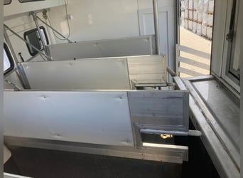 Camion de transport de chevaux MAN TGM, capacité 4-5 chevaux, 14 tonnes, année 2017, 290 ch, occasio