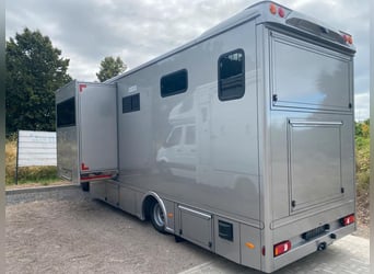 Transporteur pour chevaux Iveco, neuf, pour 2 à 3 chevaux