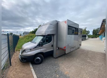 Transporteur pour chevaux Iveco, neuf, pour 2 à 3 chevaux