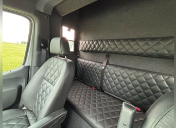 Transporteur pour chevaux Mercedes Sprinter 200 ch, aménagement 2026, 5 places