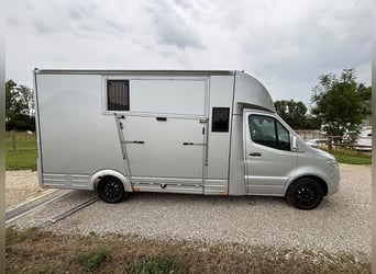Transporteur pour chevaux Mercedes Sprinter 200 ch, aménagement 2026, 5 places