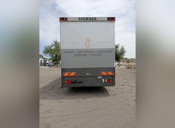 Camion avec logement pour 6 chevaux