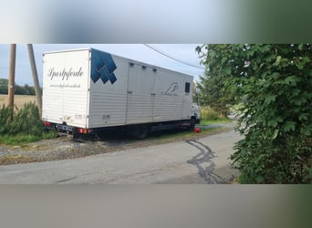 Camion pour chevaux MAN avec tente de boxe
