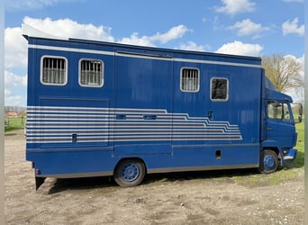Camionnette pour chevaux Mercedes 814 avec homologation H pour 4 chevaux. Contrôle technique récent.