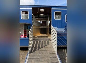 Camionnette pour chevaux Mercedes 814 avec homologation H pour 4 chevaux. Contrôle technique récent.