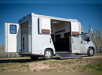 FIAT - DUCATO (2020)