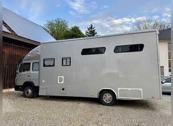 Mercedes-Benz 817 camion de transport de chevaux – pour 4 chevaux – avec espace de vie
