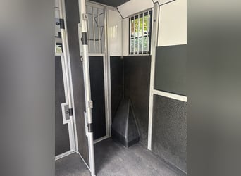 Renault Master 2, transporteur pour deux chevaux